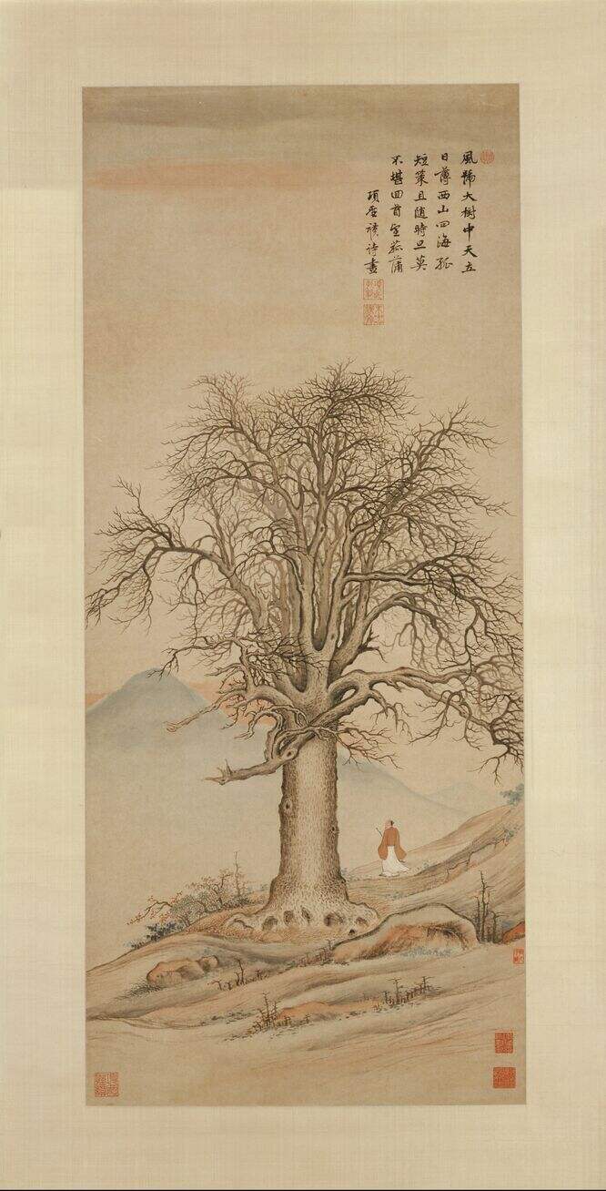 大树风号图缩略图