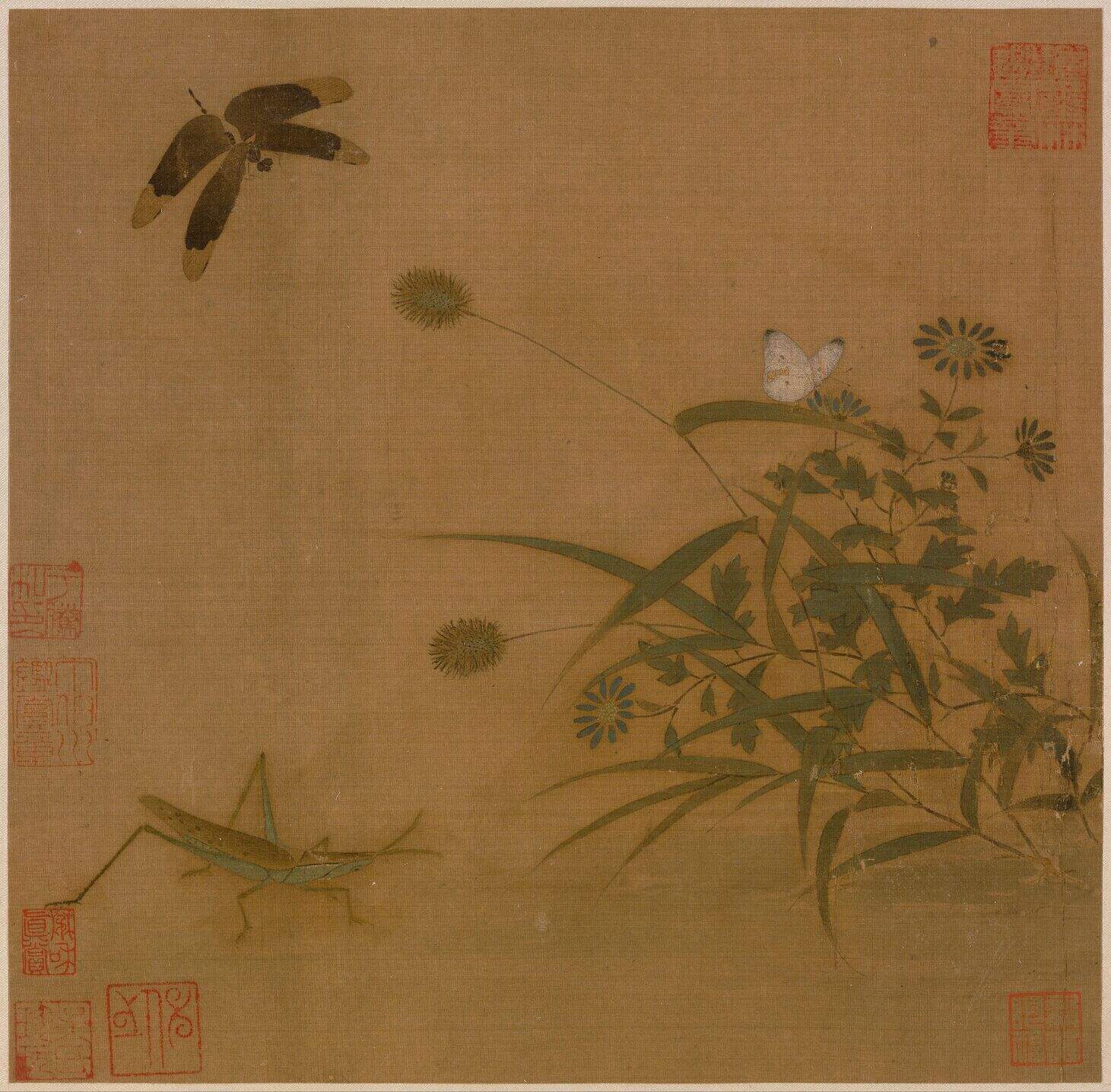 写生草虫图缩略图