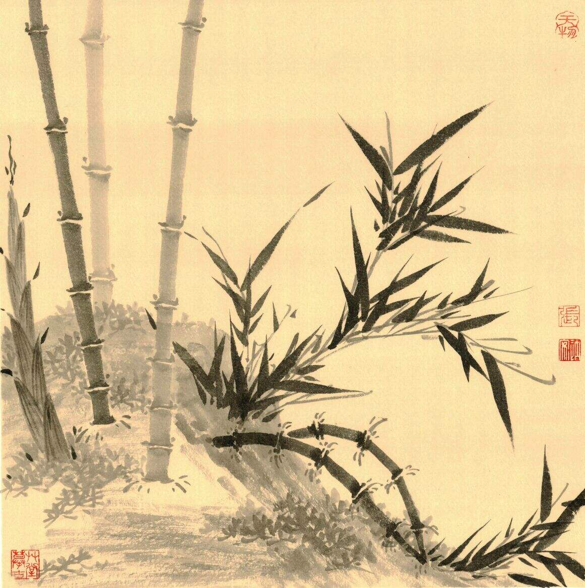 作品封面