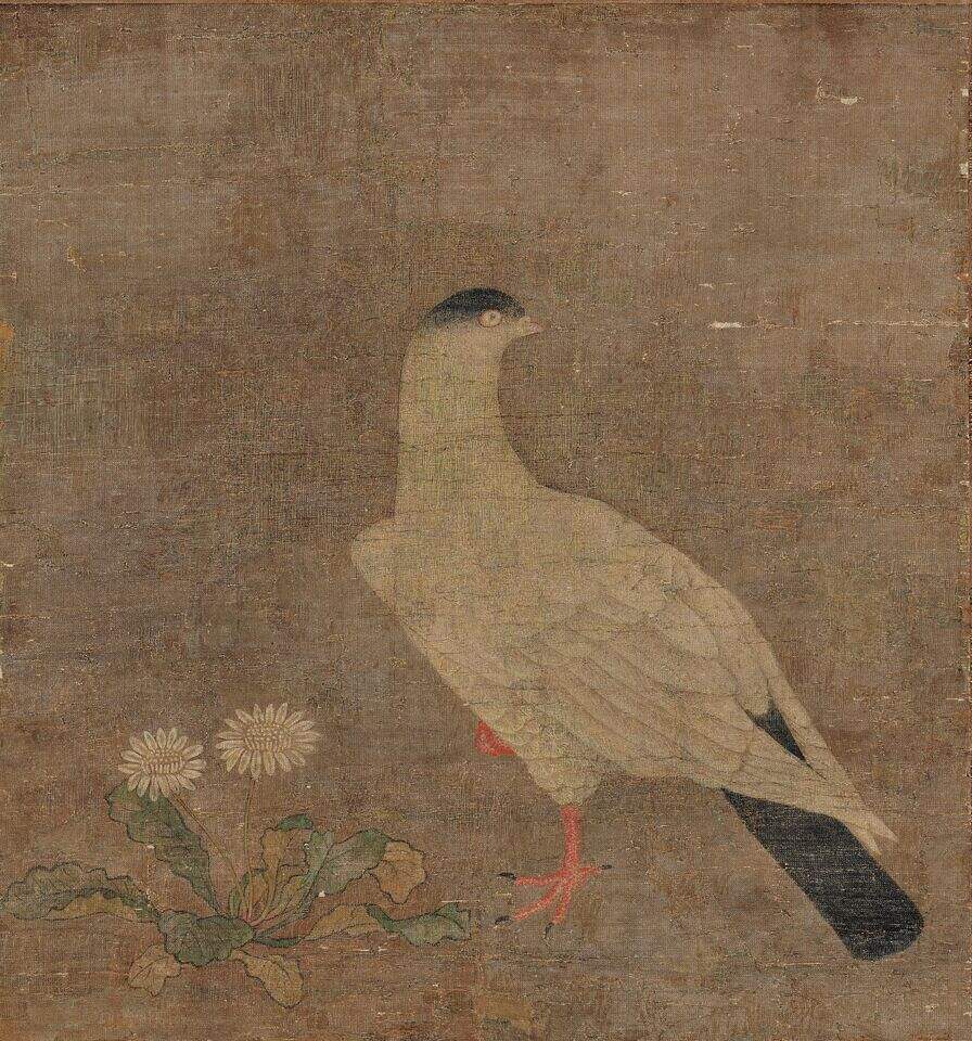 鸽子图缩略图