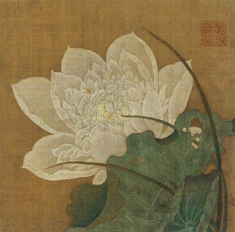 渌池擢素缩略图