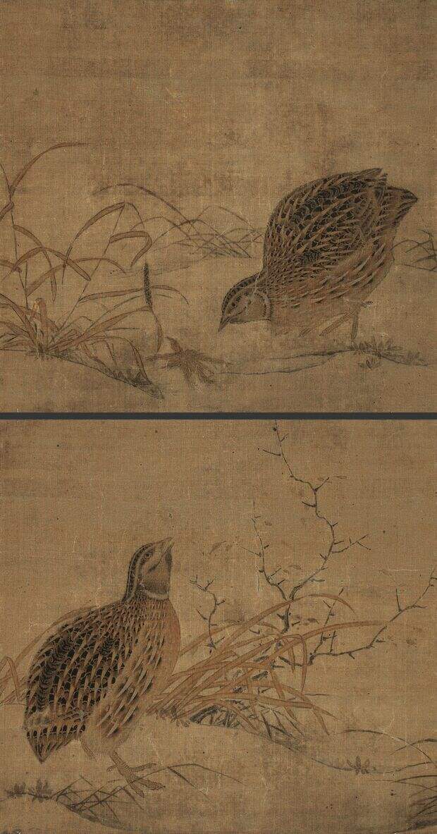 鹌鹑图缩略图