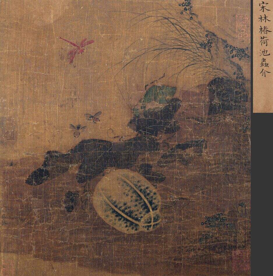 荷花虫介图缩略图