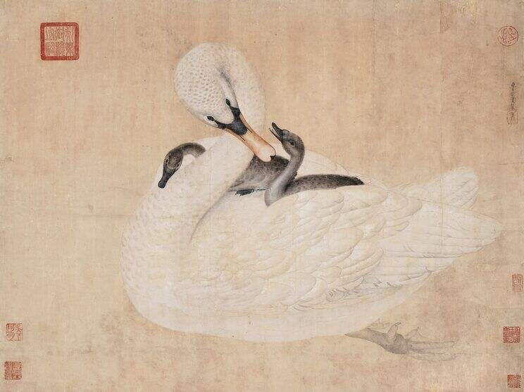 鹅图缩略图
