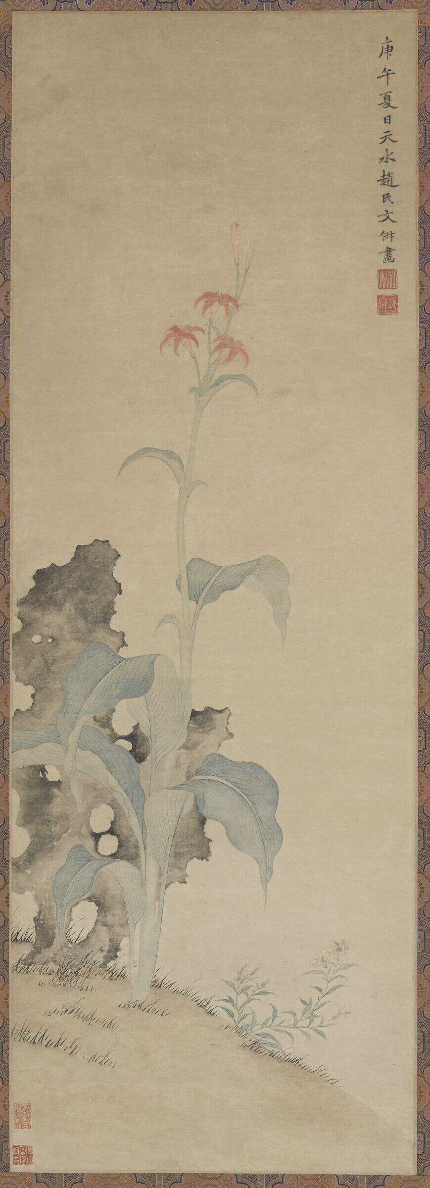 美人蕉图缩略图
