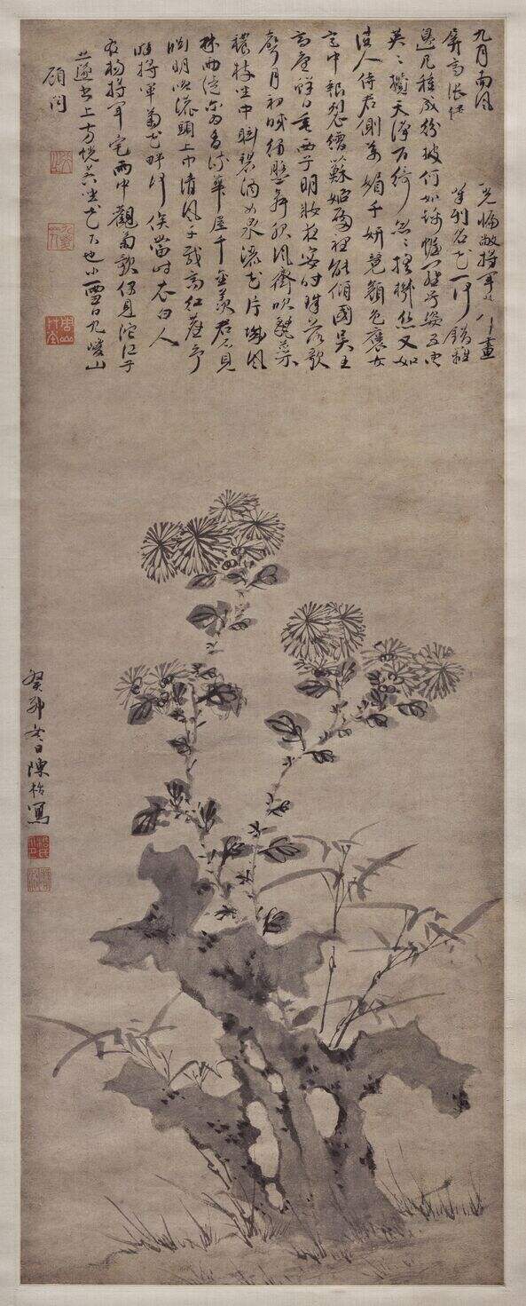 菊石图缩略图