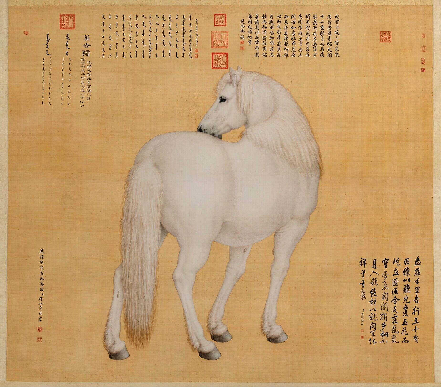 万吉骦缩略图