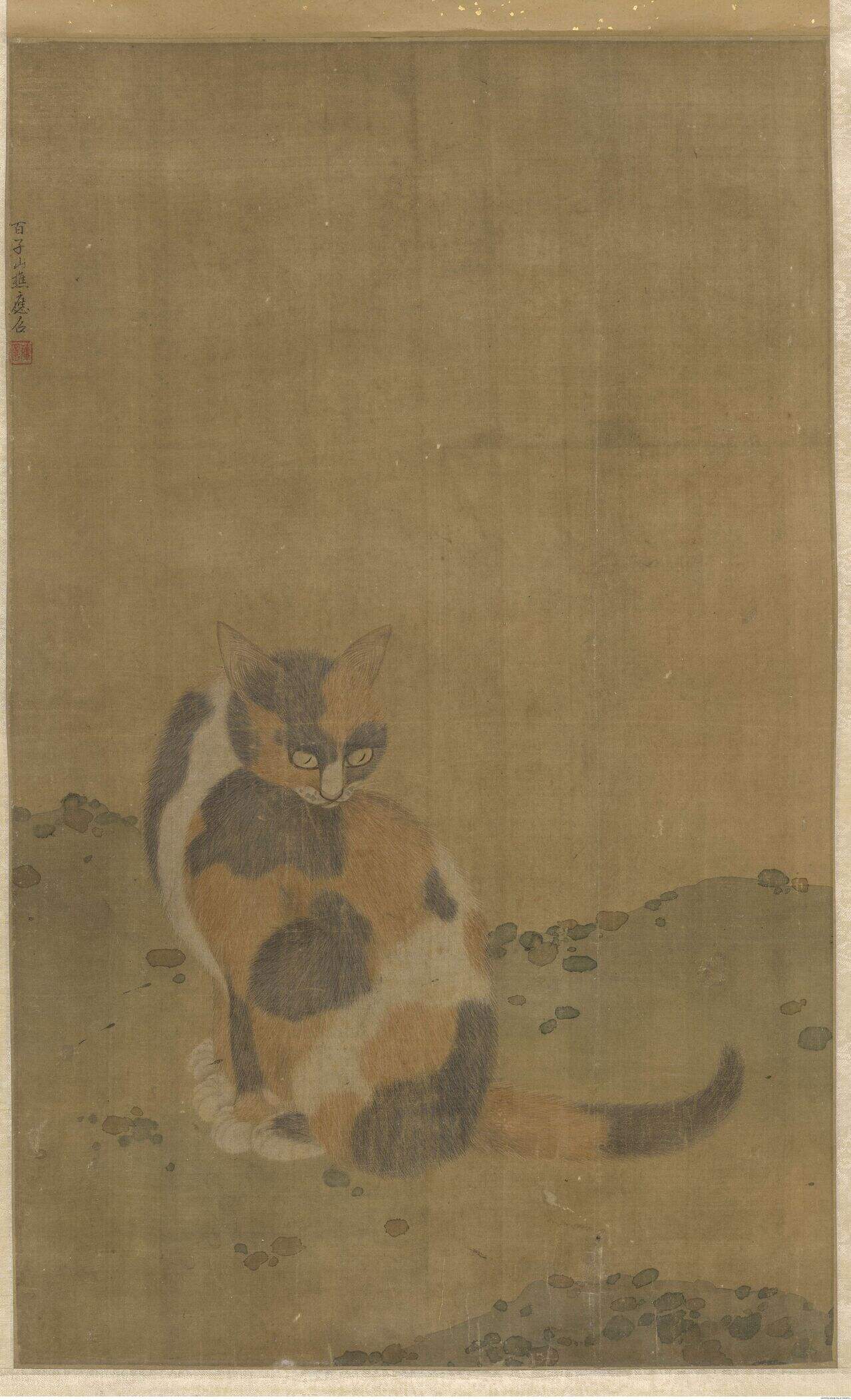 猫图缩略图