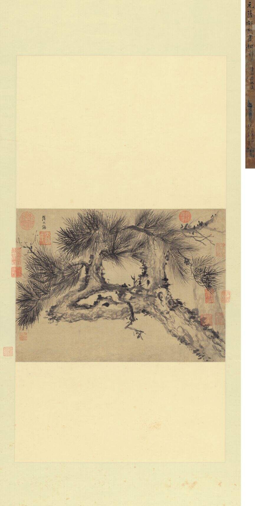 苍松图缩略图