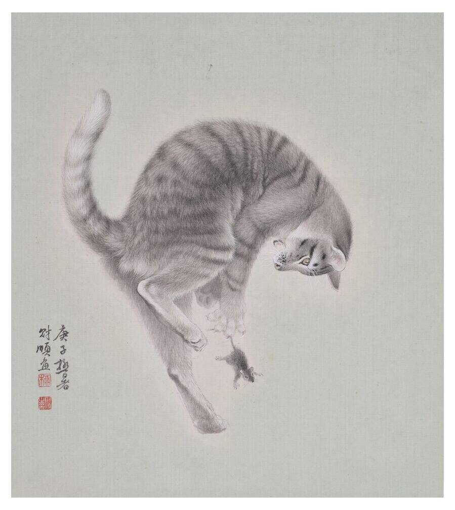 猫趣之一缩略图