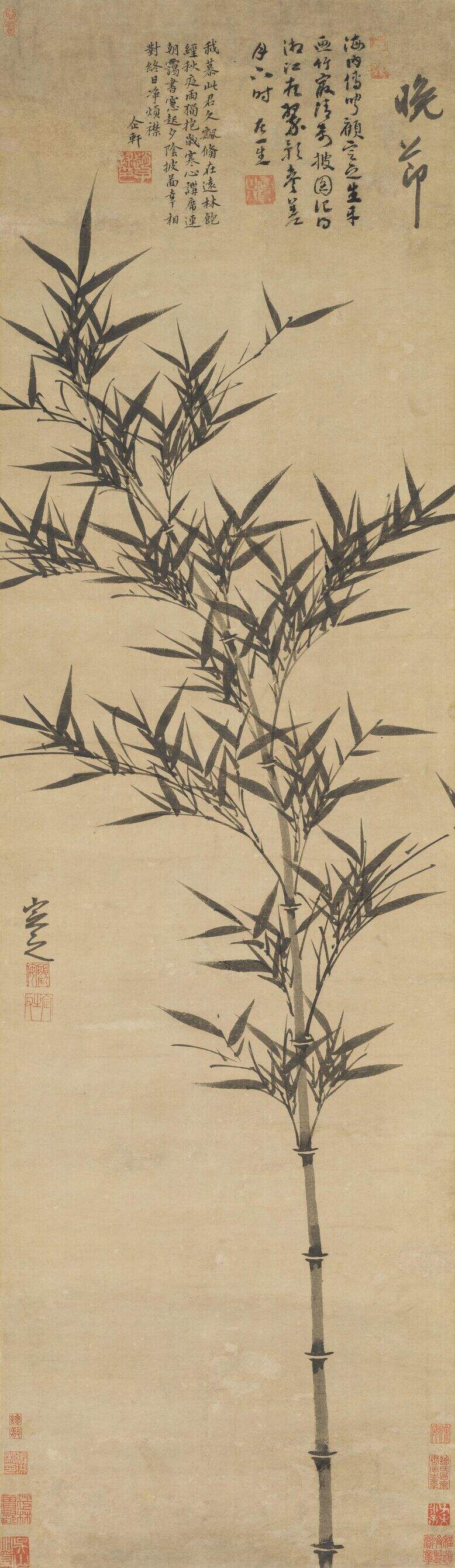 晚节图缩略图