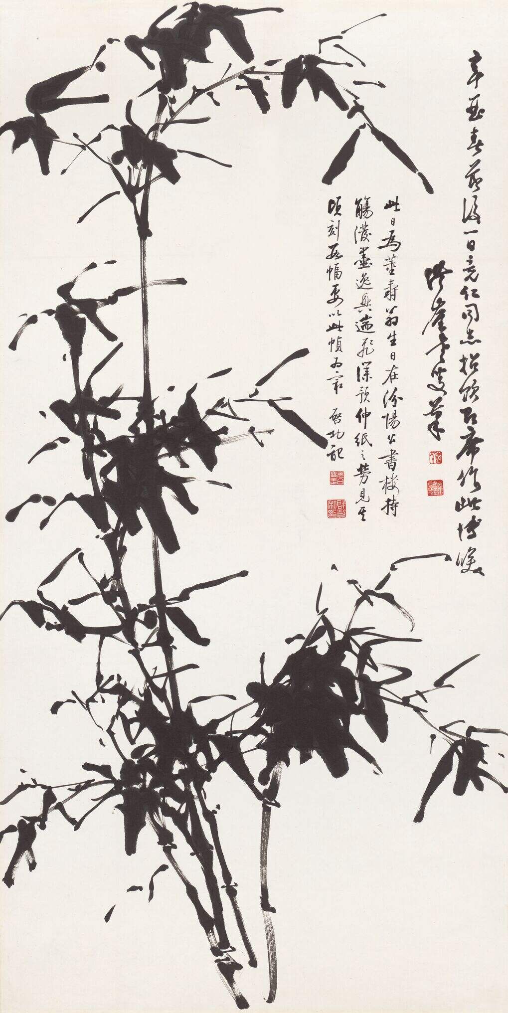 竹子图缩略图
