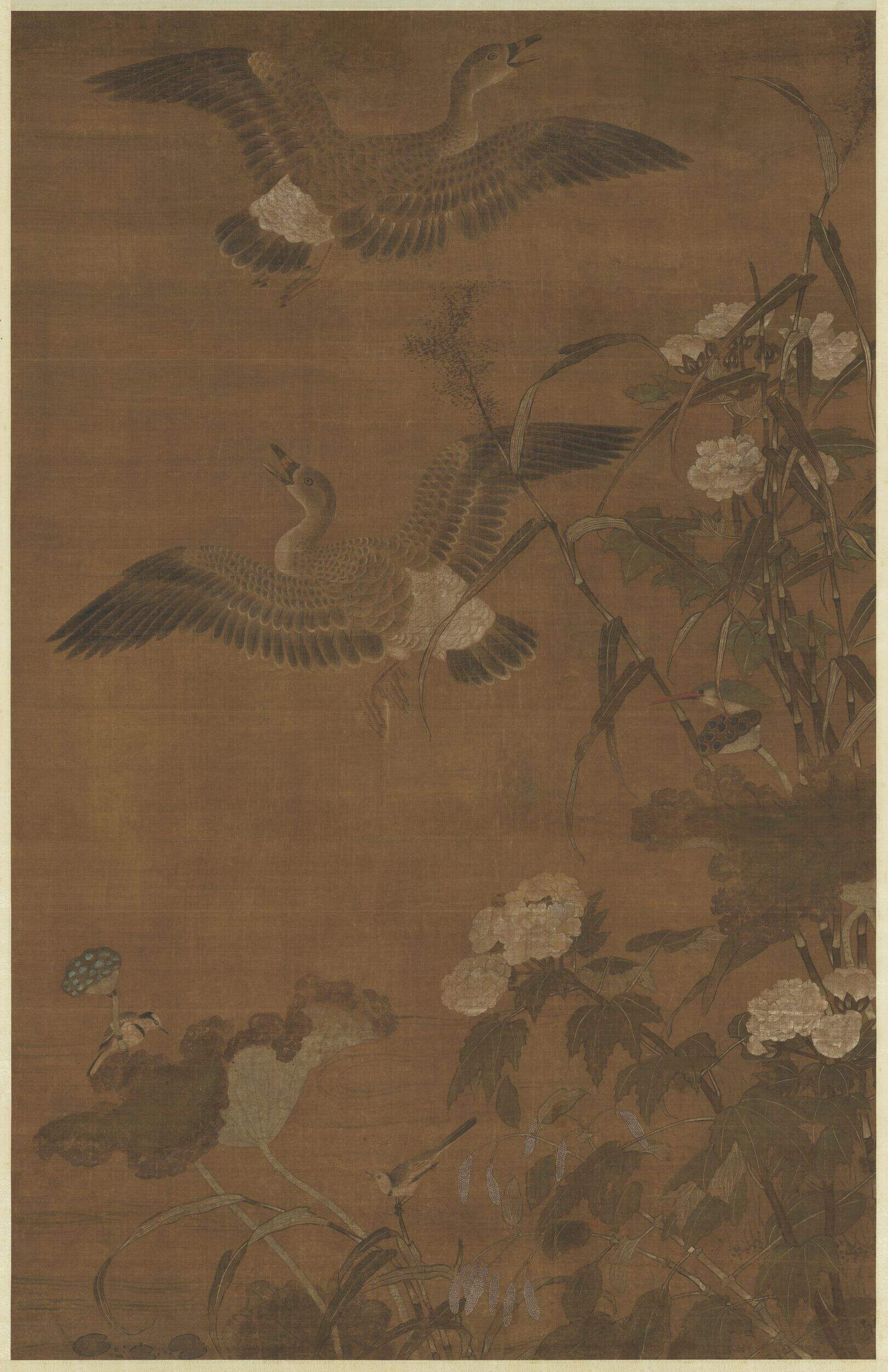 秋浦蓉宾图缩略图