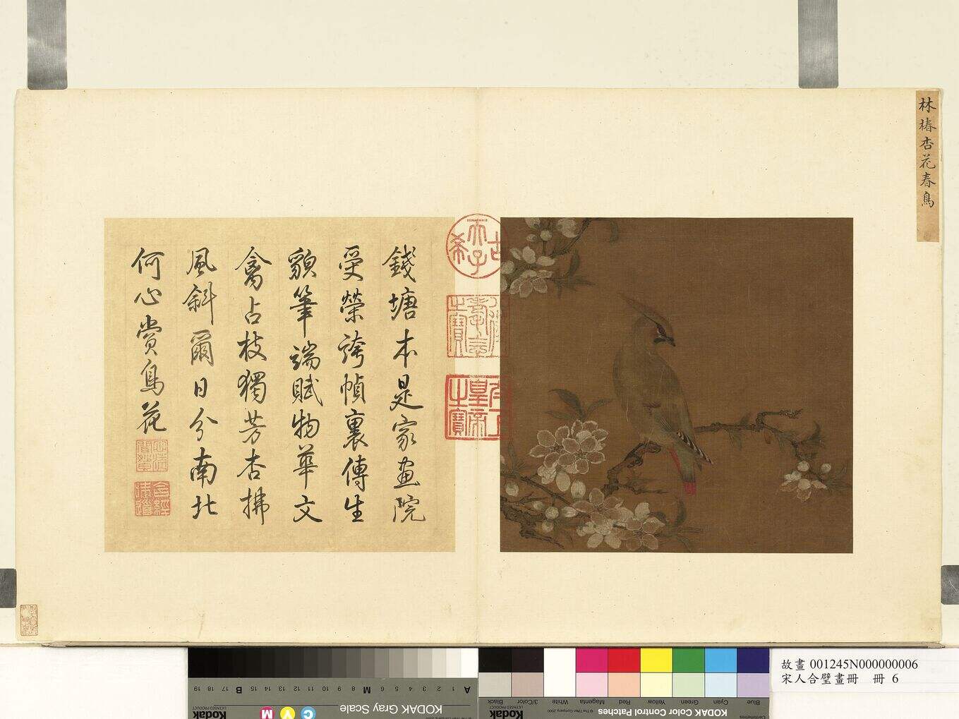 杏花春鸟图缩略图