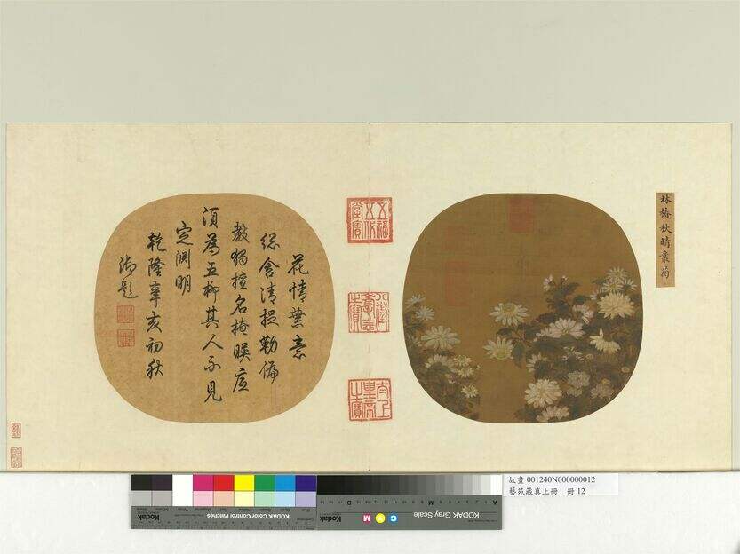 秋晴丛菊图缩略图