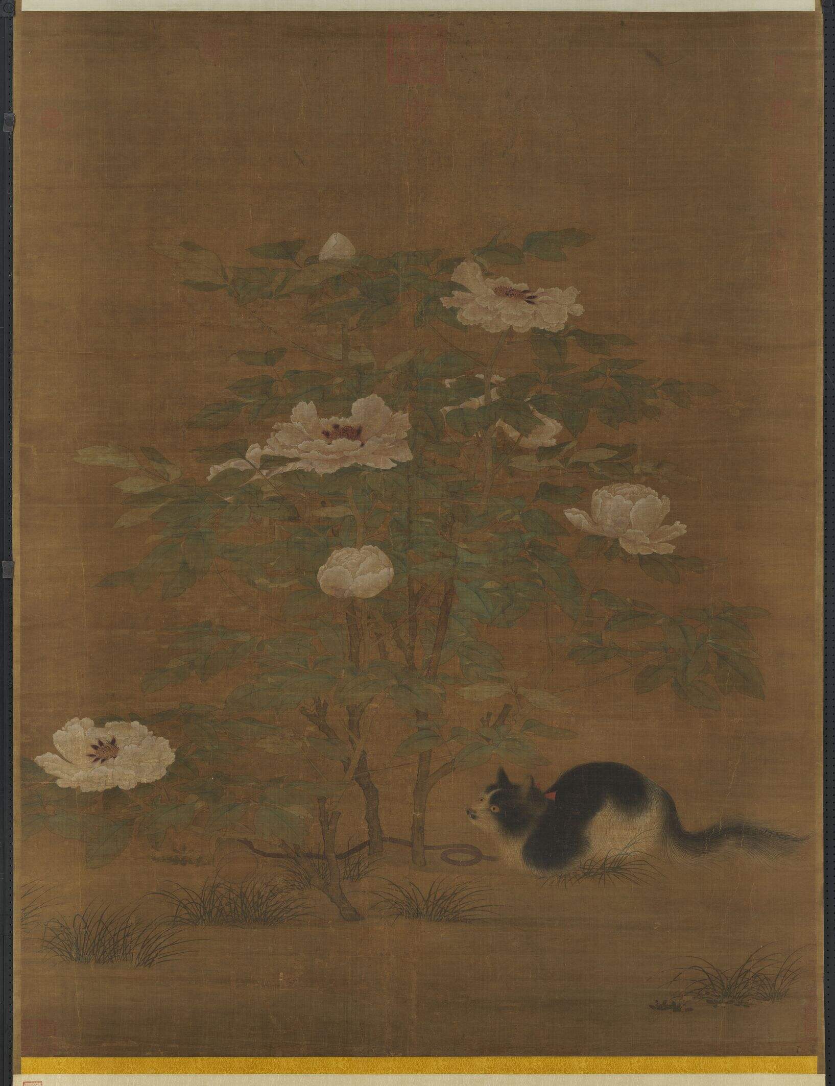 富贵花狸图缩略图
