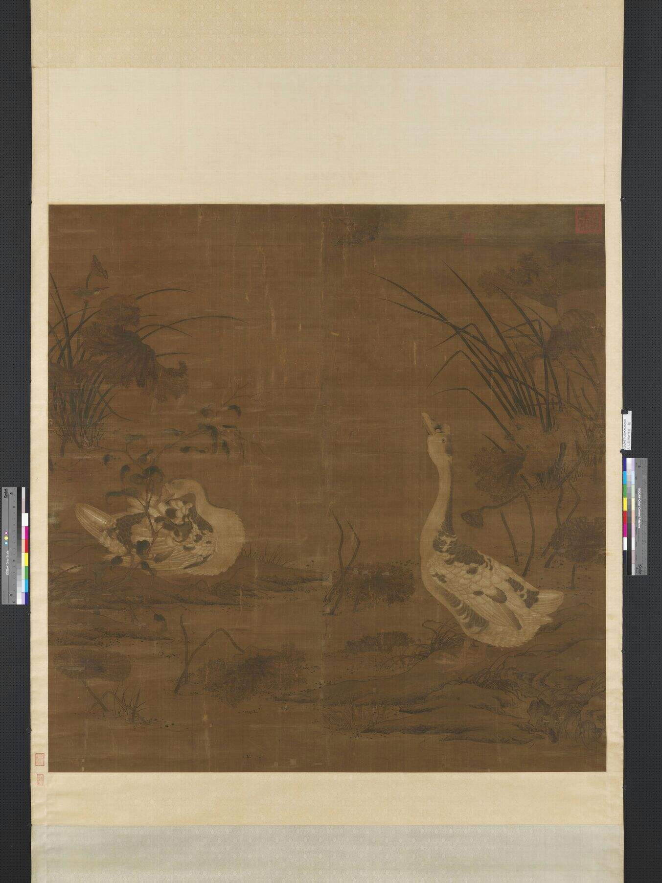 野草集封面