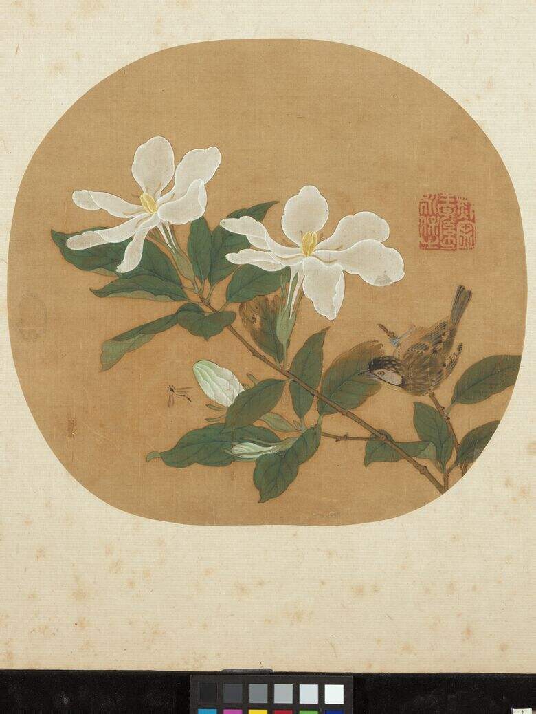 写生栀子缩略图