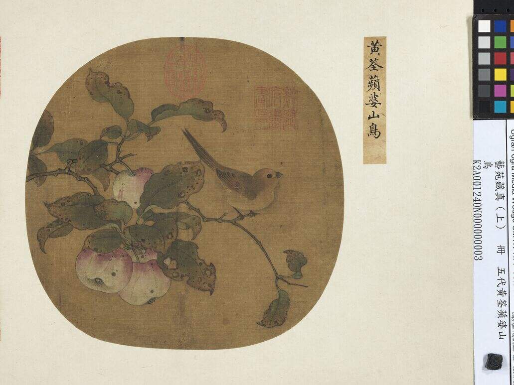 苹婆山鸟图缩略图