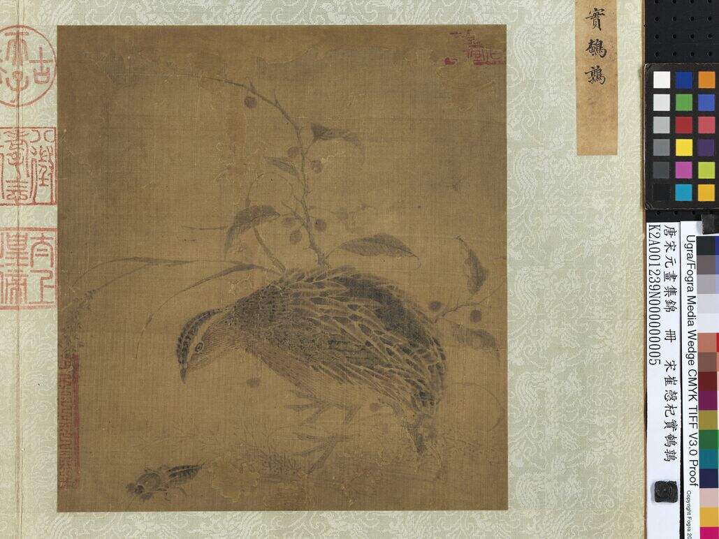 杞实鹌鹑图缩略图