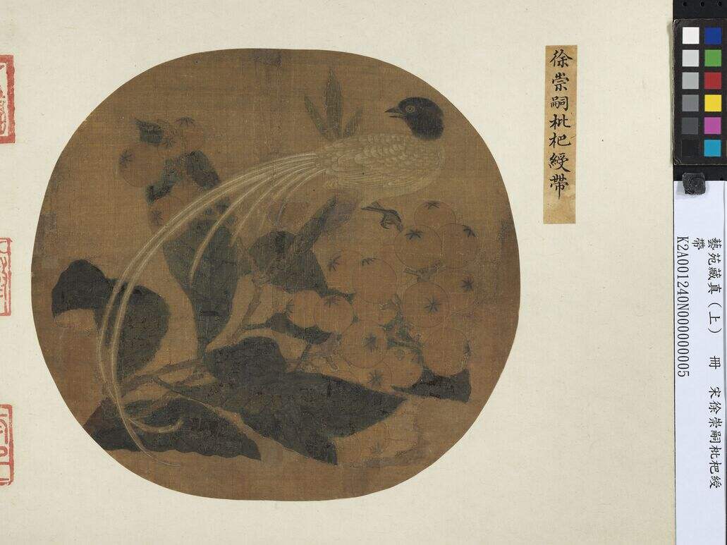 枇杷绶带图缩略图
