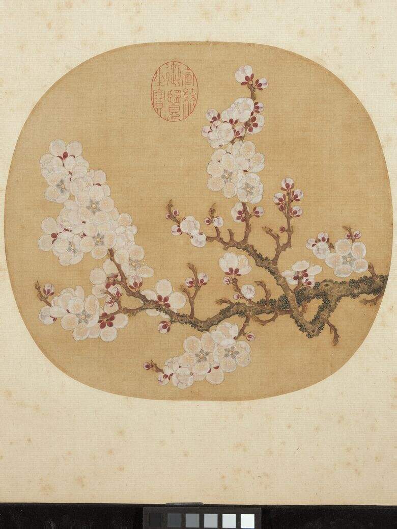 写生杏花图缩略图