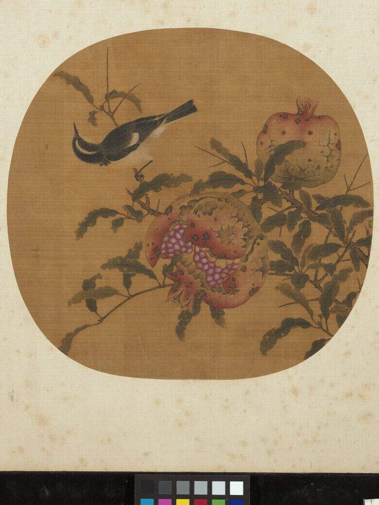 榴开见子图缩略图