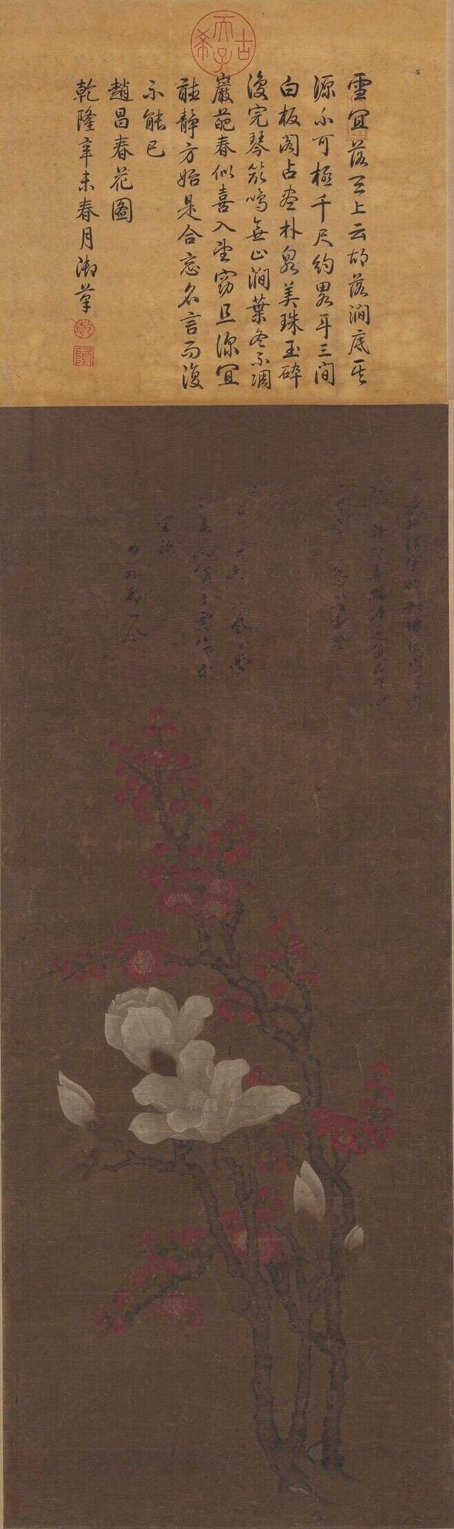 玉兰图缩略图