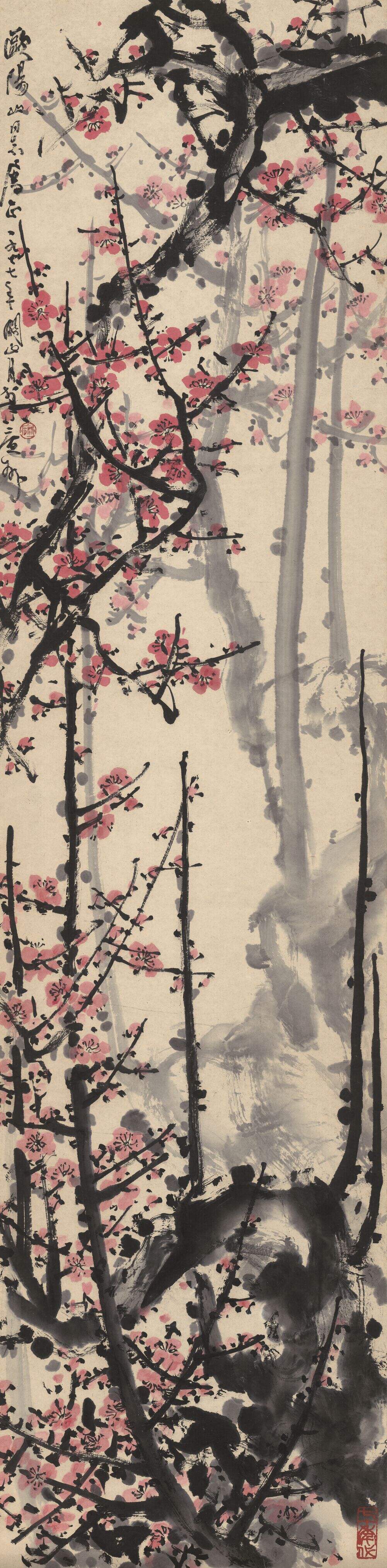 红梅缩略图