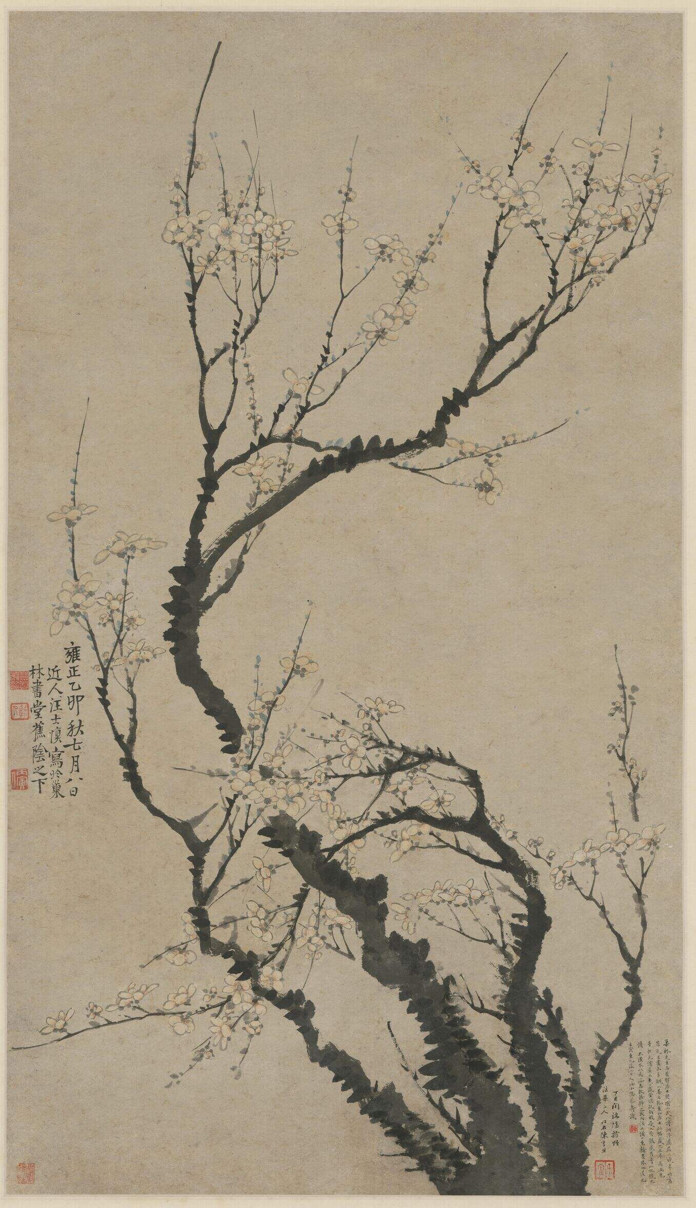 梅花图缩略图