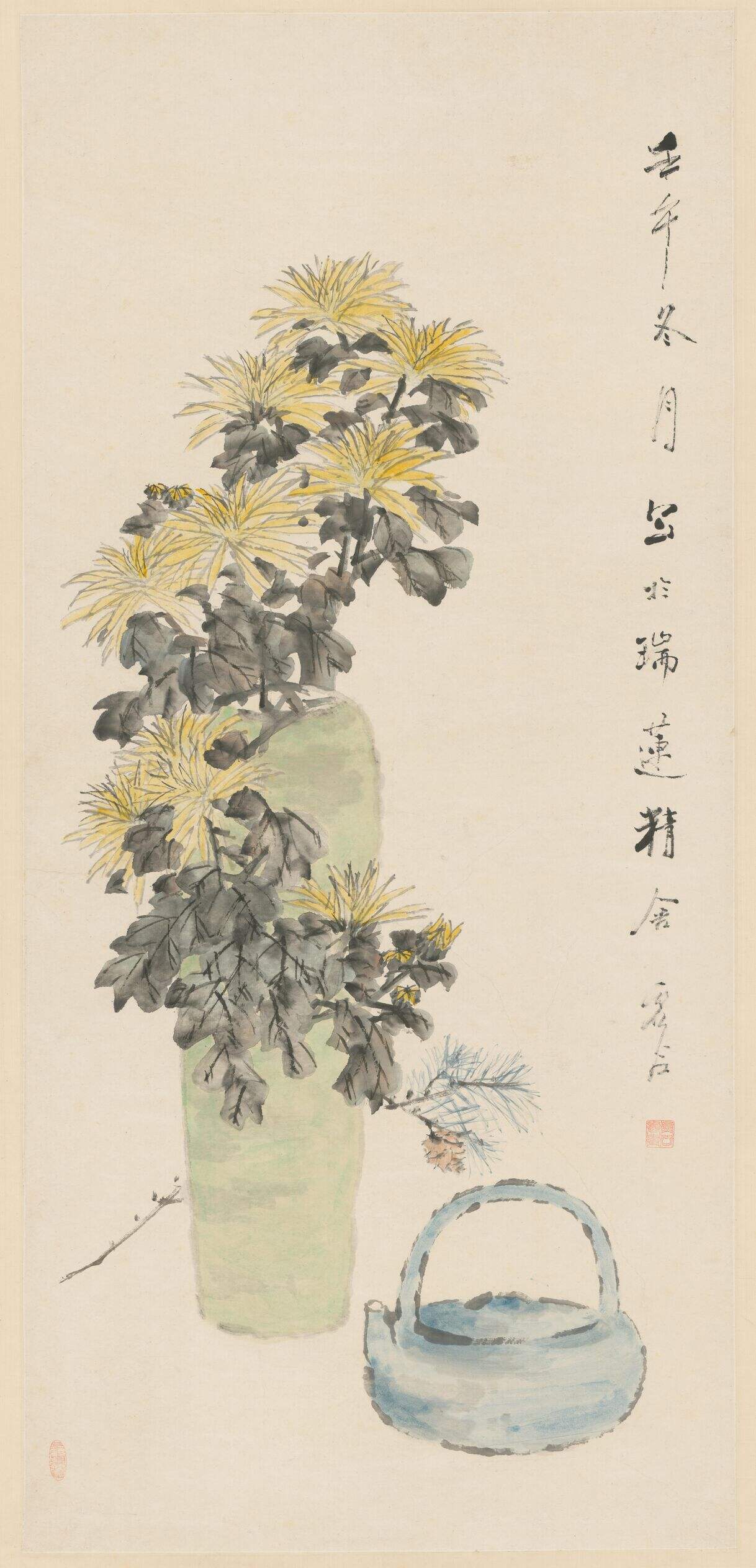 瓶菊图缩略图