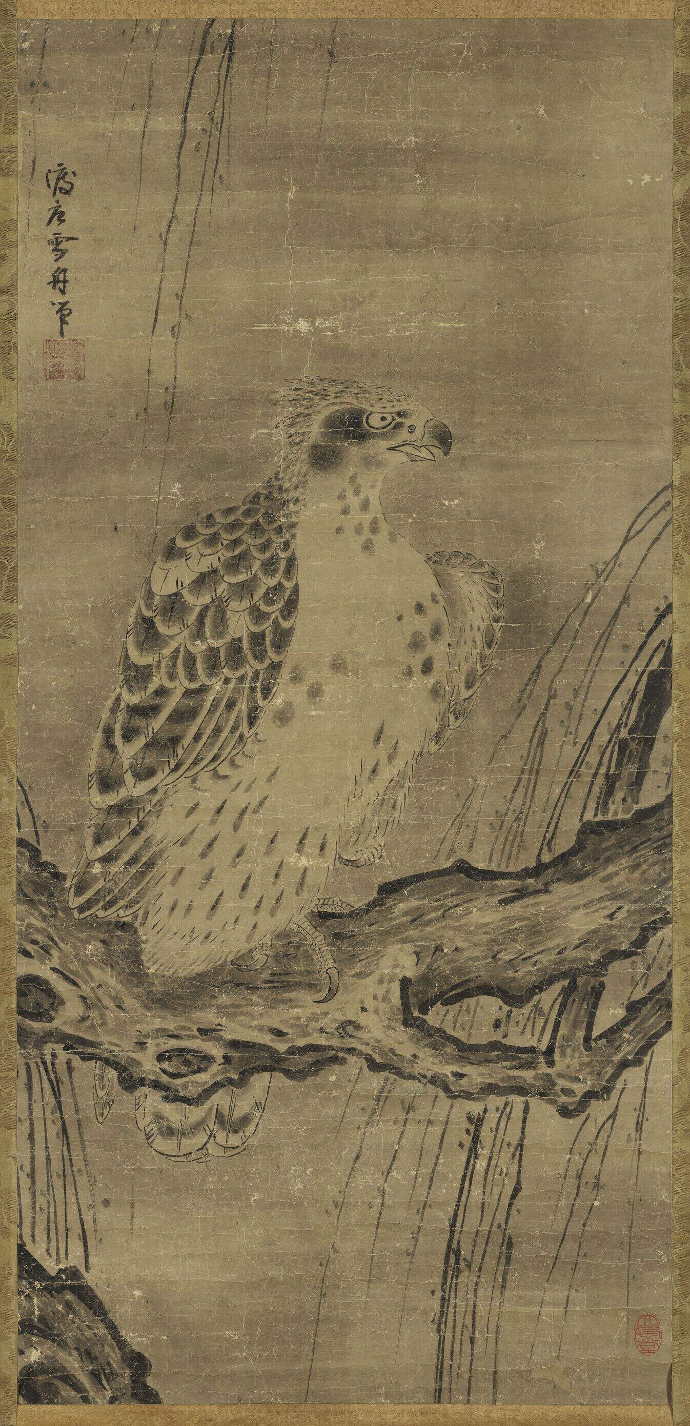 鹰图缩略图