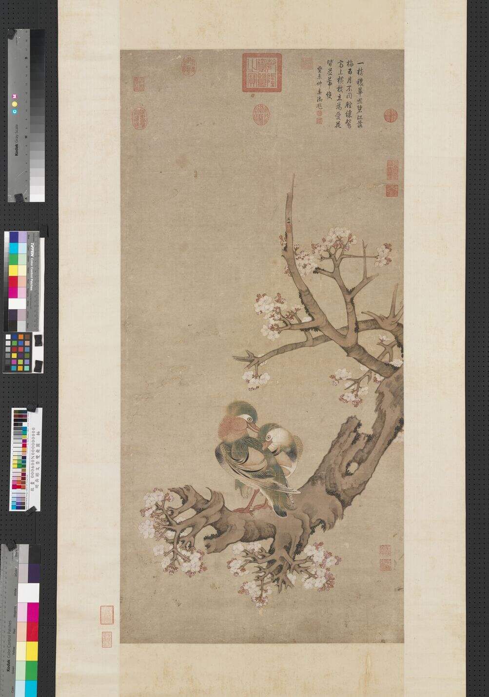 文杏双禽图缩略图