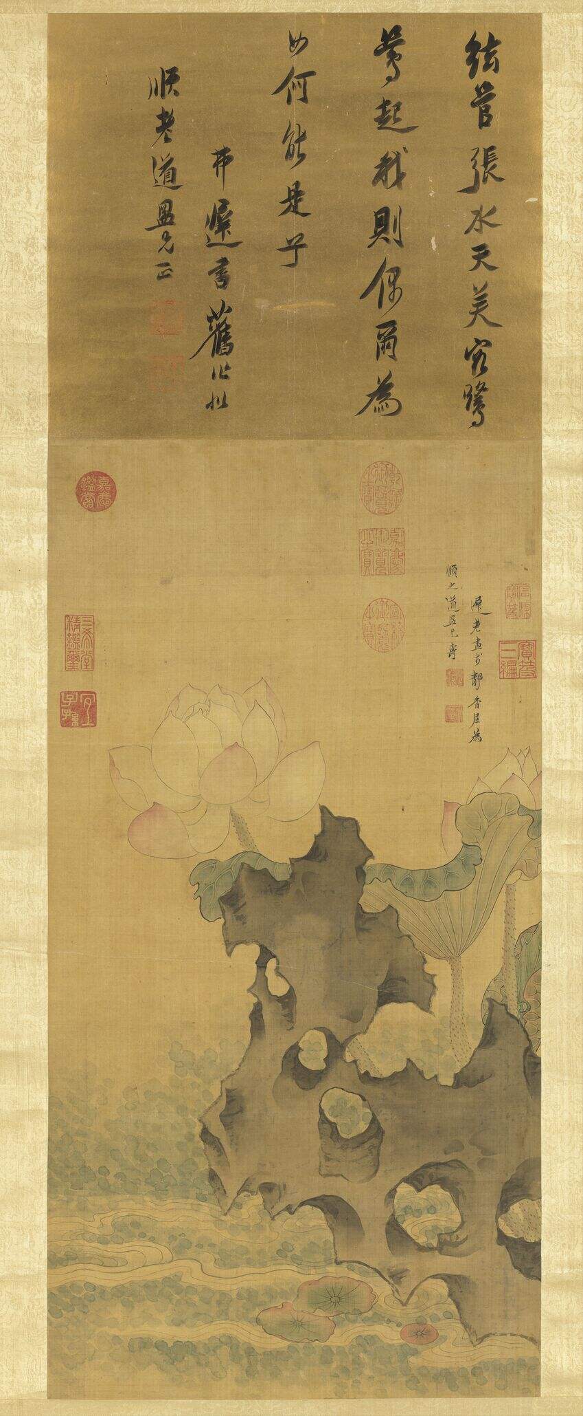 荷花图缩略图