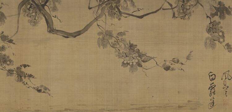 摹温日观葡萄图缩略图