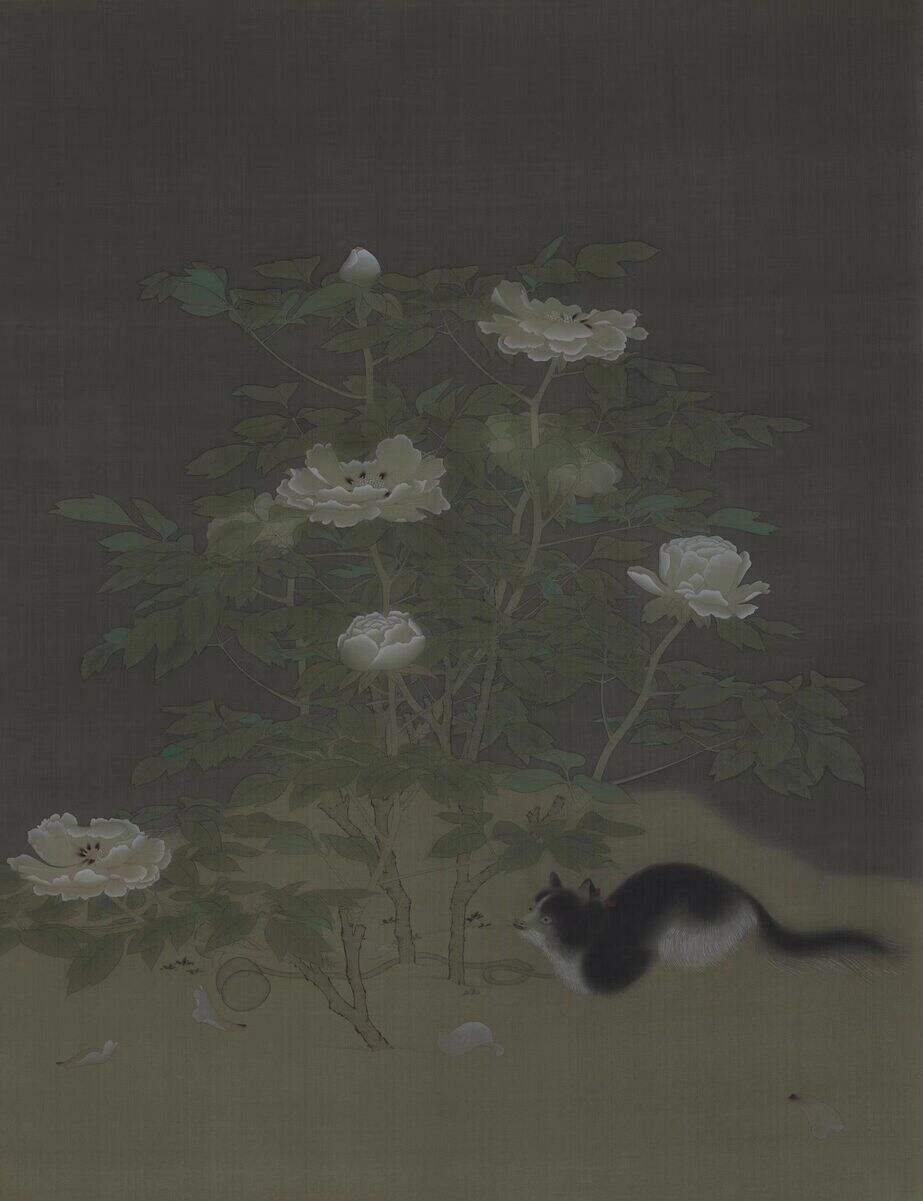 临《富贵花狸图》缩略图