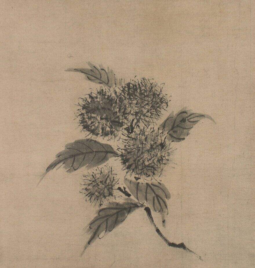 栗图缩略图