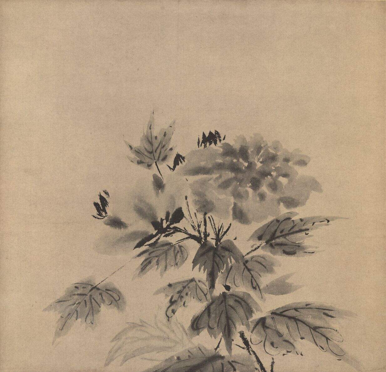 芙蓉图缩略图