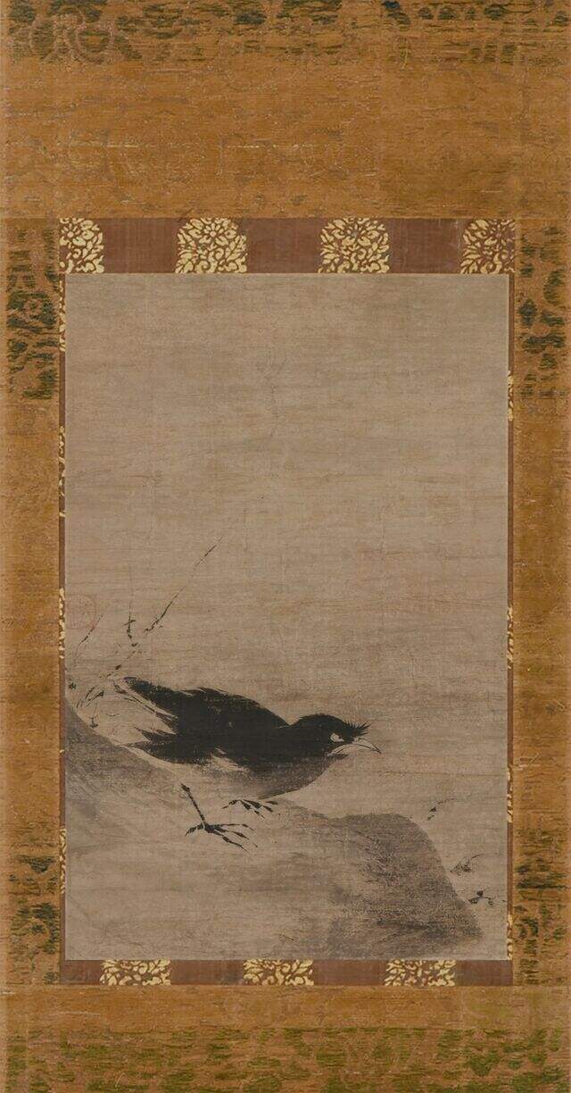 叭叭鸟图缩略图