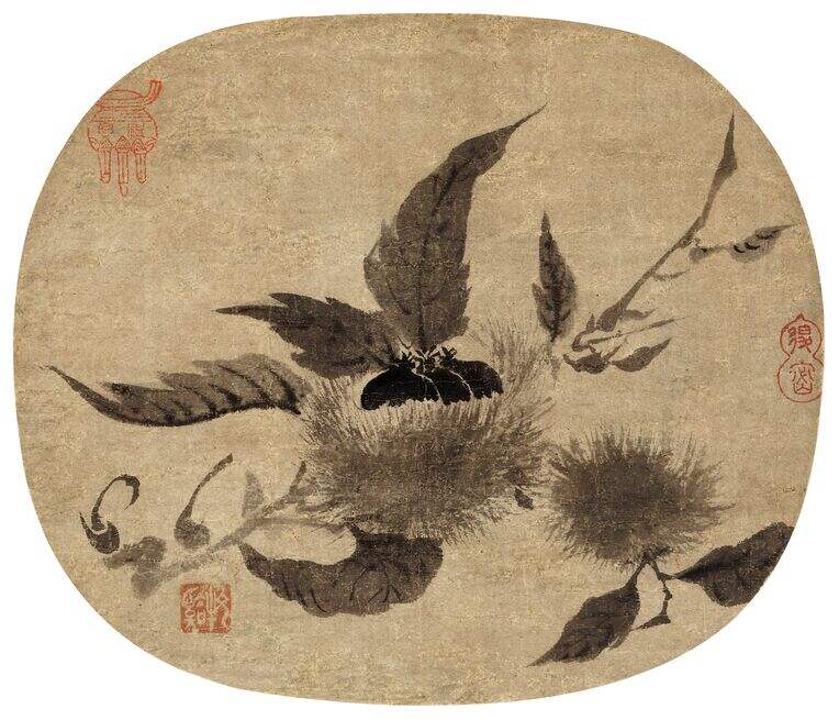 栗子图缩略图