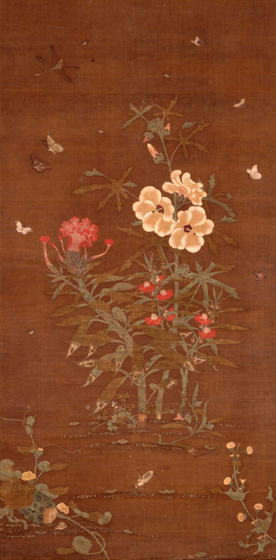 草虫图缩略图