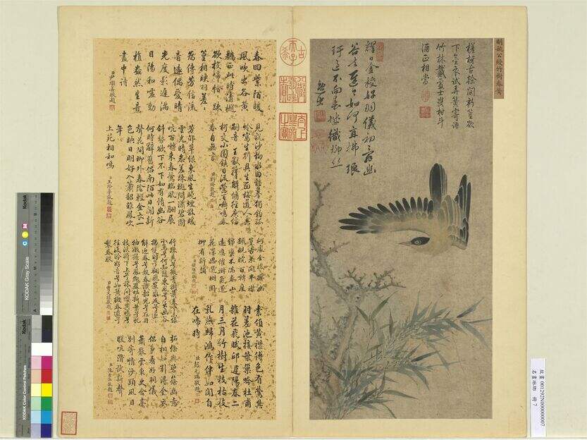 名画琳琅册-竹树春莺缩略图