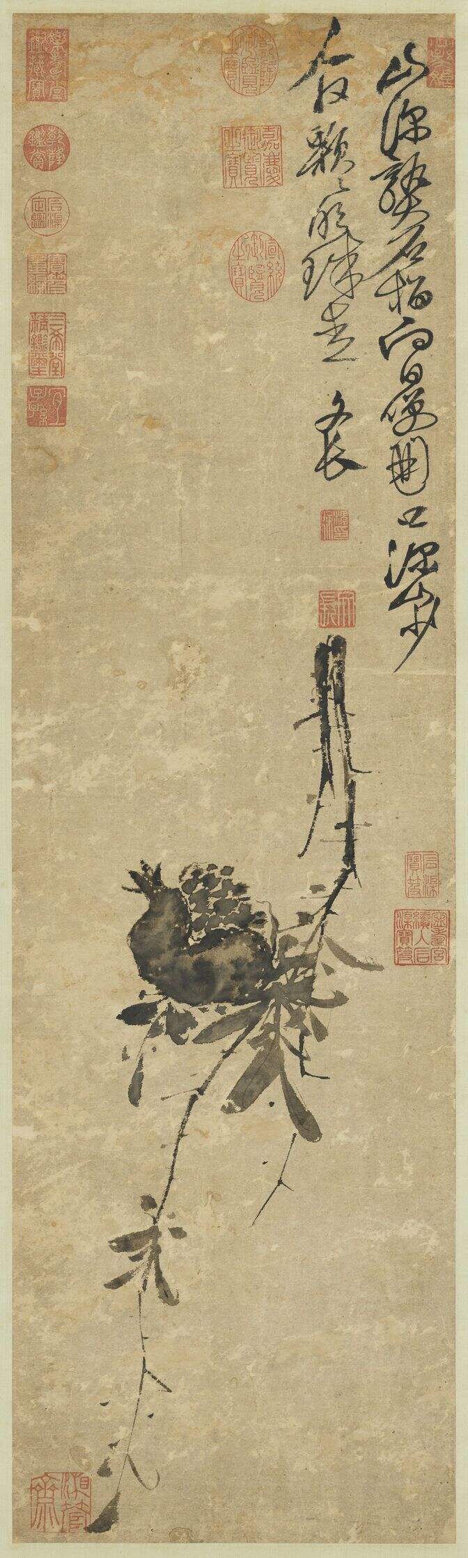 榴实图缩略图