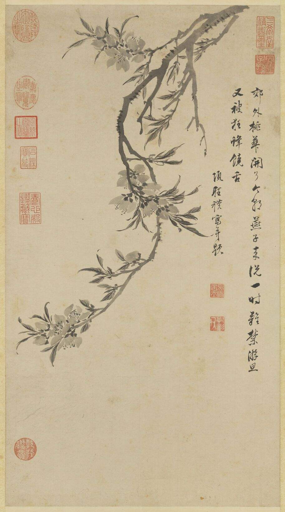 桃花写生图缩略图