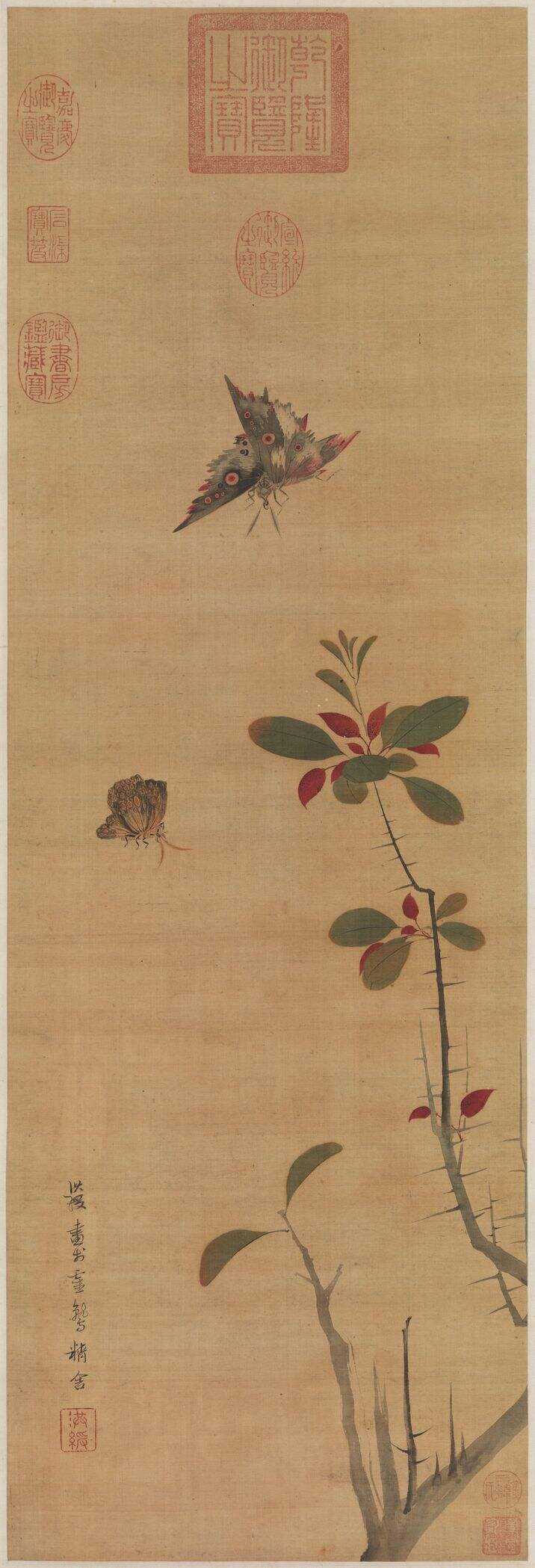 花蝶写生图缩略图