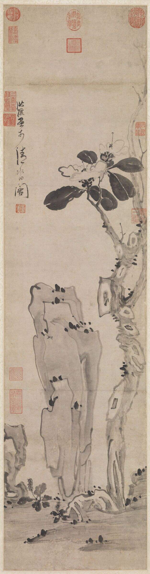 卷石山茶图缩略图