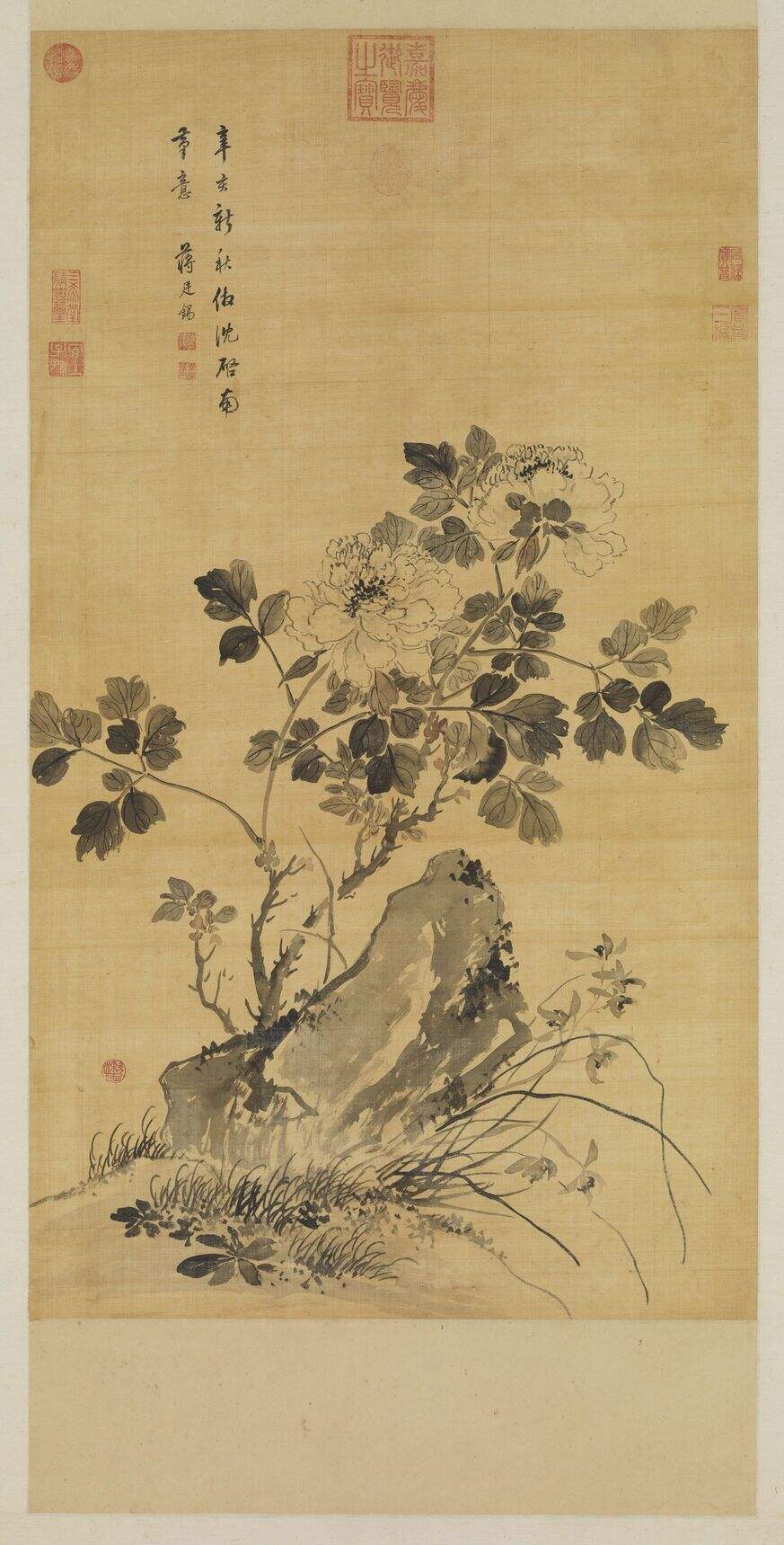 墨牡丹图缩略图