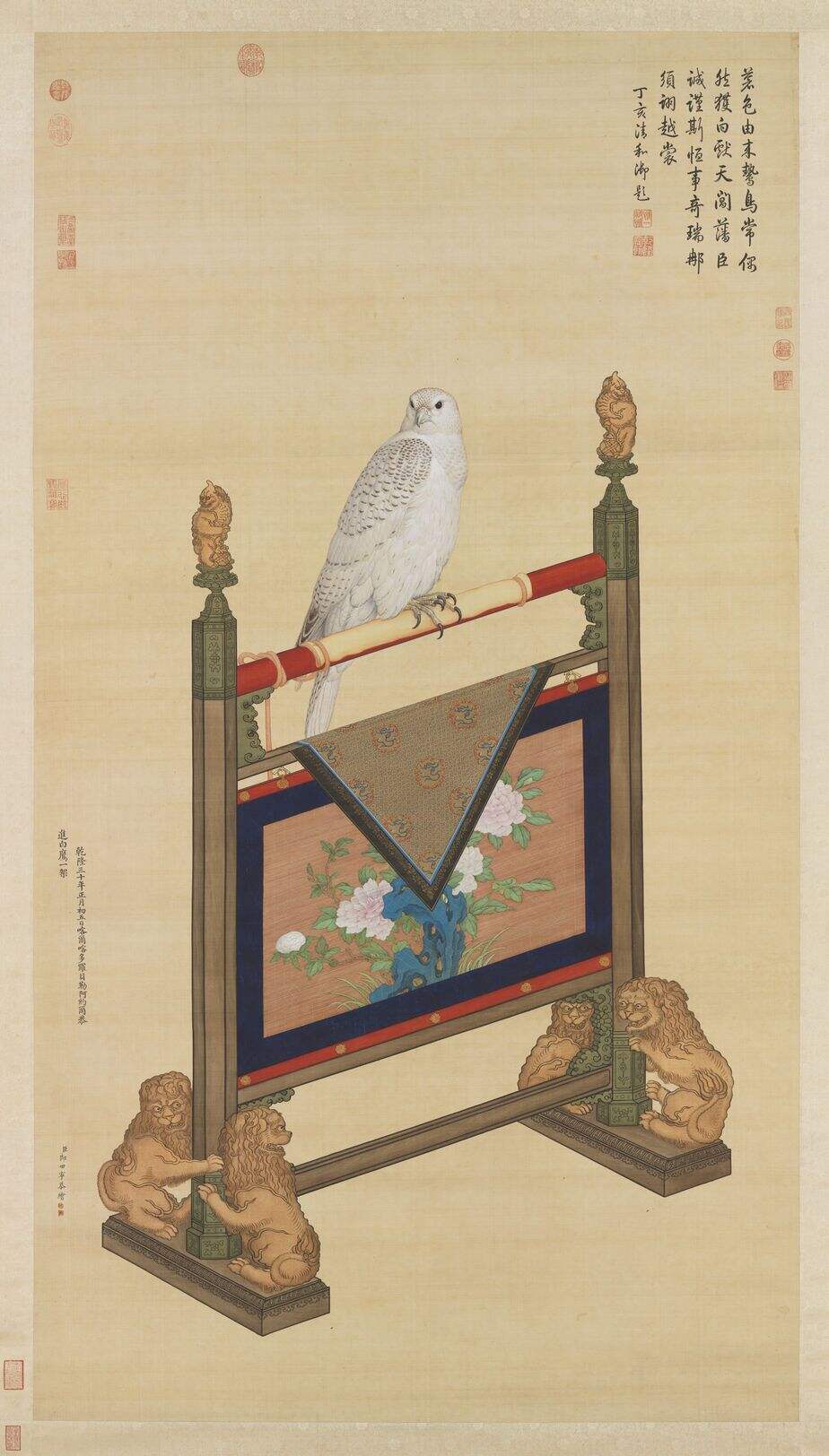 白鹰缩略图
