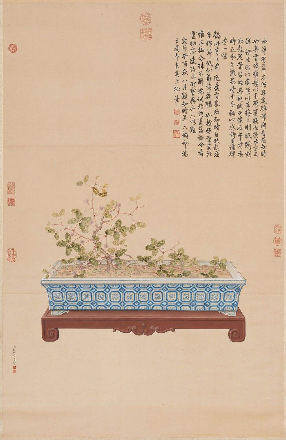 海西知时草图缩略图