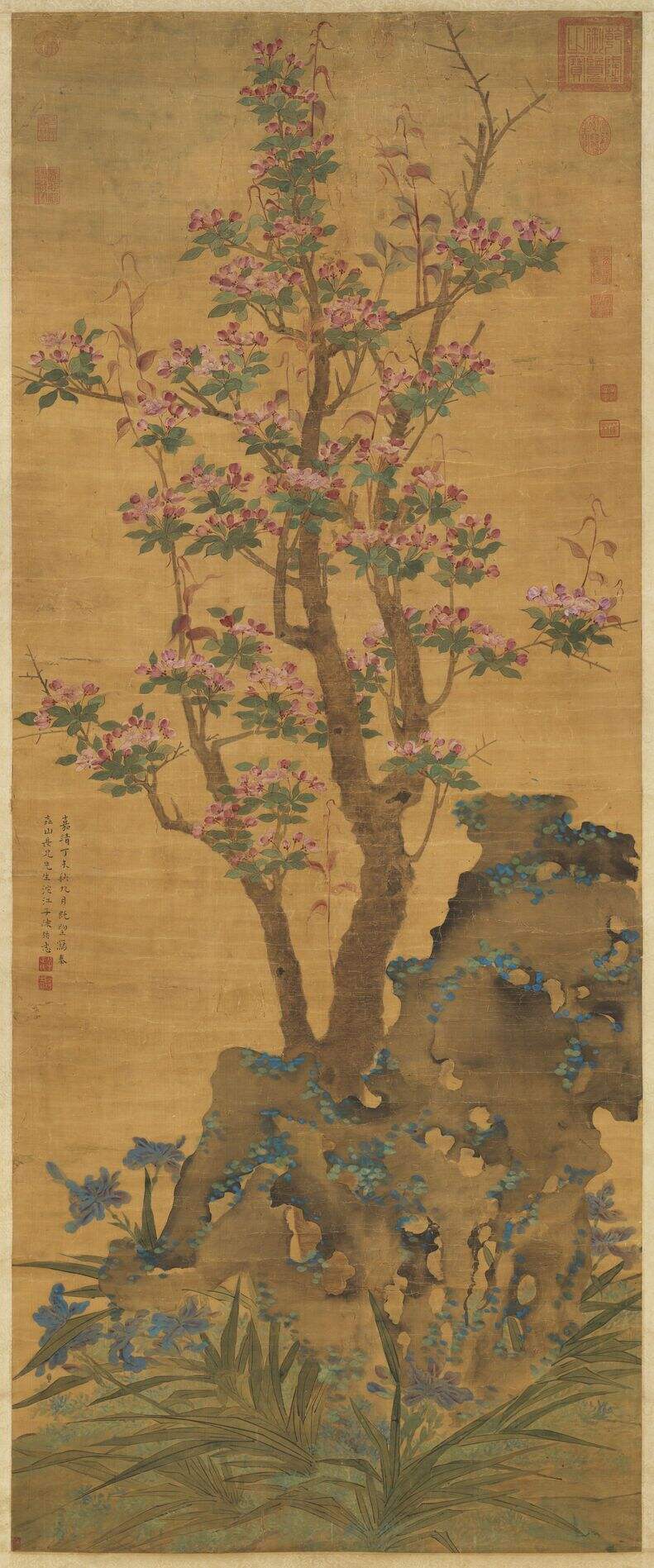海棠图缩略图